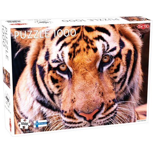 Tiger Portrait